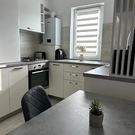 Cozy Studios In Suceava Exterior photo