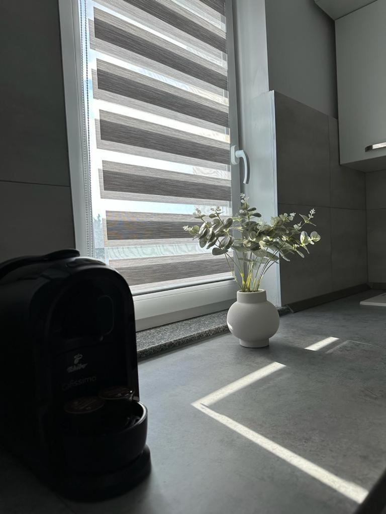Cozy In Apartment *