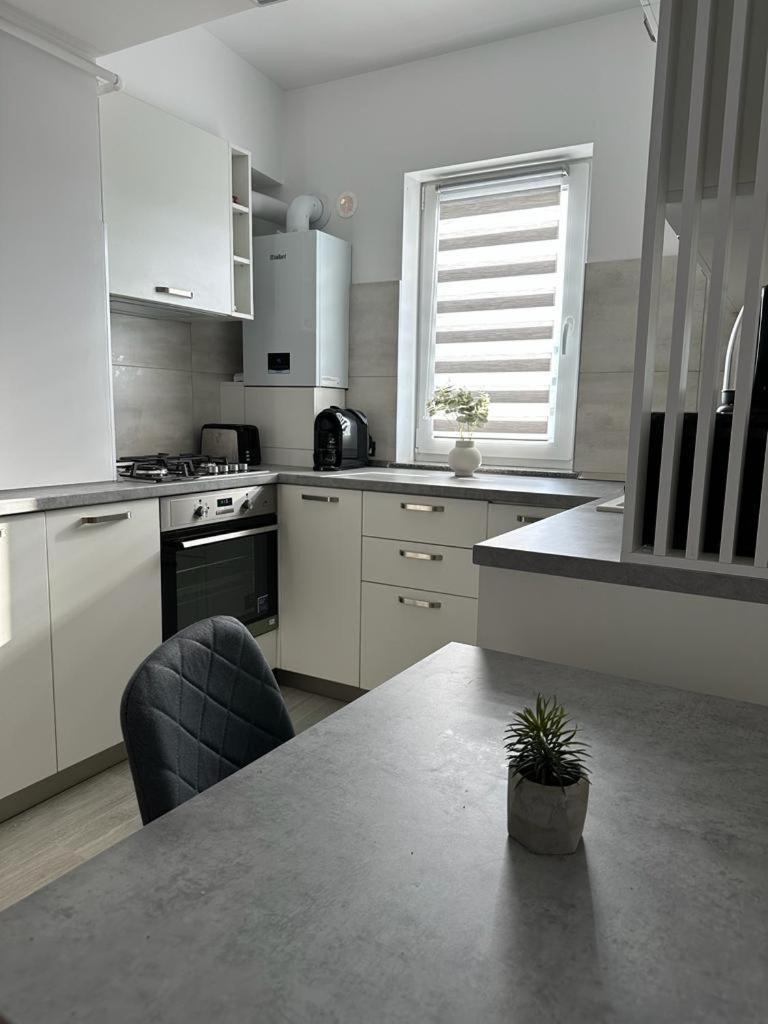 Apartment Cozy In Suceava