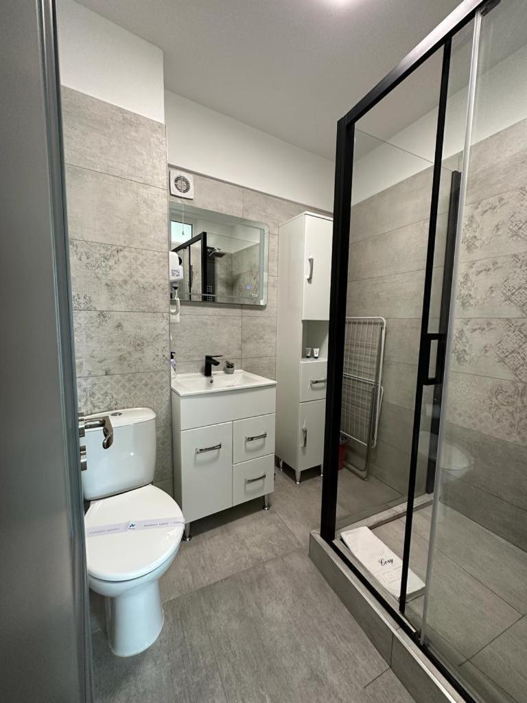 Cozy In Apartment Suceava