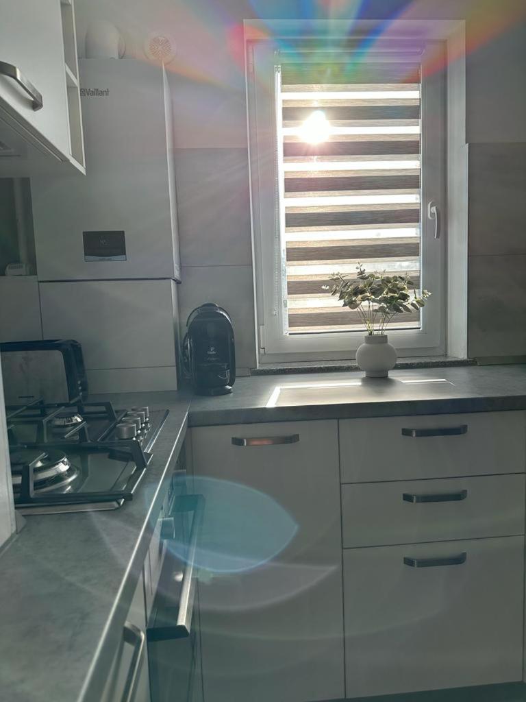 Apartment Cozy In Suceava