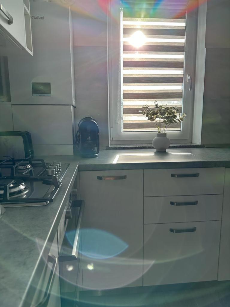 Apartment Cozy In Suceava